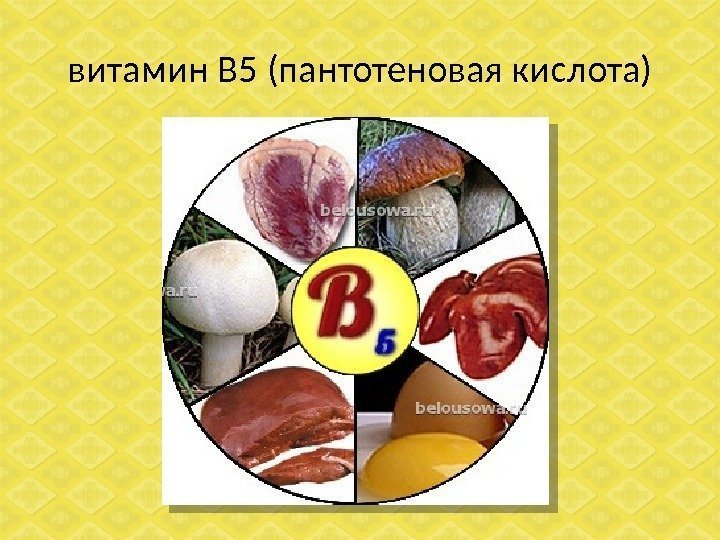 витамин В 5 (пантотеновая кислота) 