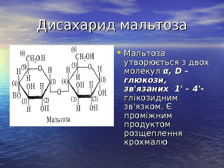   Дисахарид мальтоза • Мальтоза утворюється з двох молекул α, α,  DD