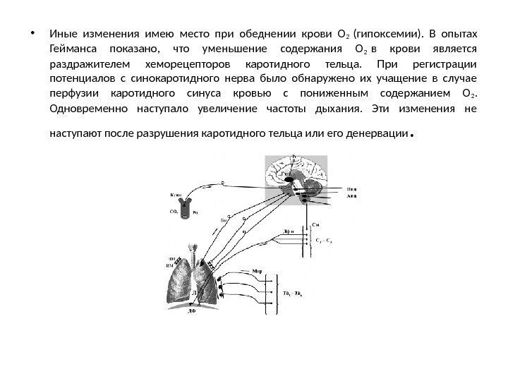  • Иные изменения имею место при обеднении крови О 2 (гипоксемии).  В