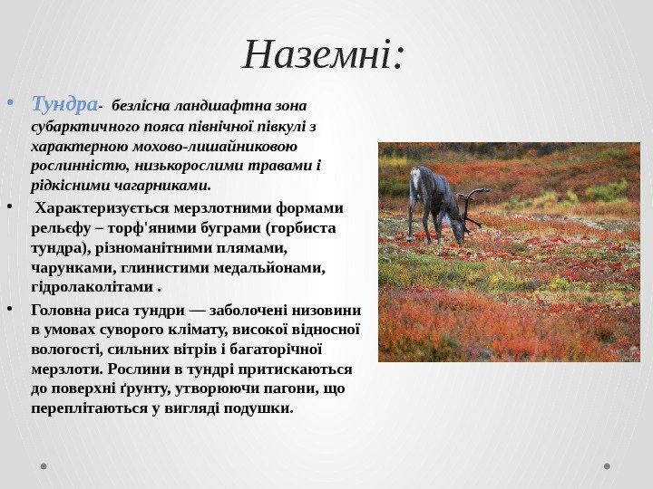 Наземні:  • Тундра -  безлісна ландшафтна зона субарктичного пояса північної півкулі з