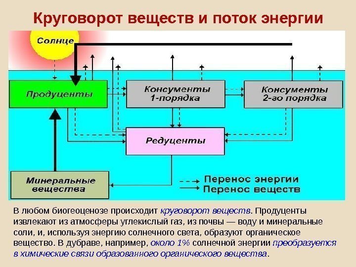 В любом биогеоценозе происходит круговорот веществ. Продуценты извлекают из атмосферы углекислый газ, из почвы