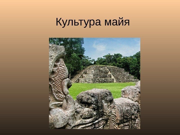 Культура майя 