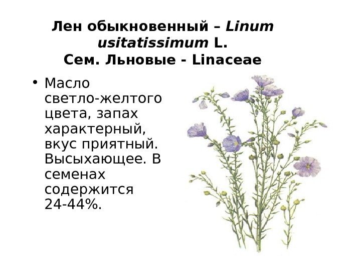 Лен обыкновенный – Linum usitatissimum L. C ем. Льновые - Linaceae • Масло светло-желтого