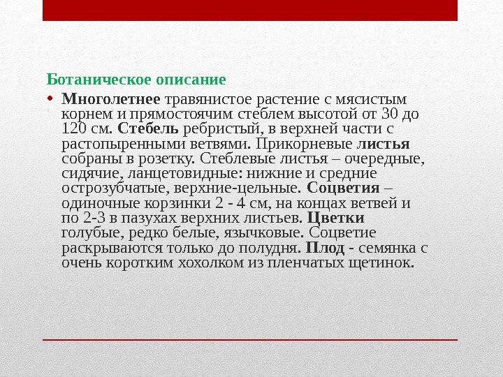 Ботаническое описание • Многолетнее травянистое растение с мясистым корнем и прямостоячим стеблем высотой от Ботаническое описание • Многолетнее травянистое растение с мясистым корнем и прямостоячим стеблем высотой от