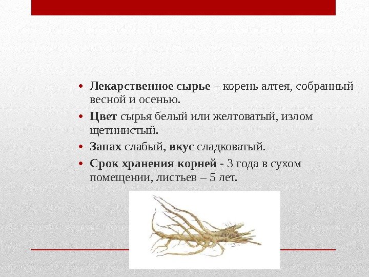 • Лекарственное сырье – корень алтея, собранный весной и осенью. • Цвет • Лекарственное сырье – корень алтея, собранный весной и осенью. • Цвет