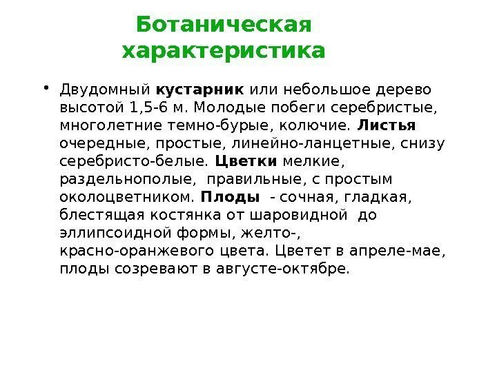 Ботаническая характеристика • Двудомный кустарник или небольшое дерево высотой 1, 5 -6 м. Молодые