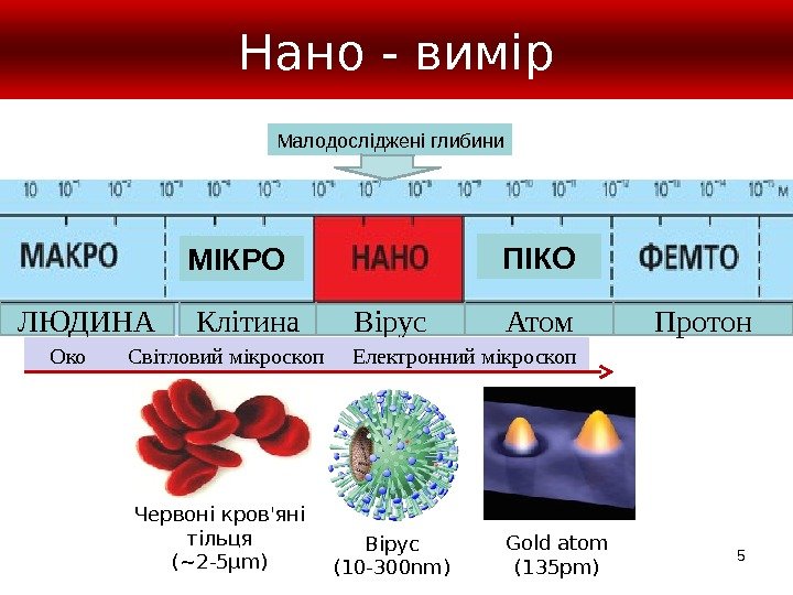 5 Нано - вимір ЛЮДИНА МІКРО ПІКО Клітина Вірус Атом Протон Вірус (10 -300