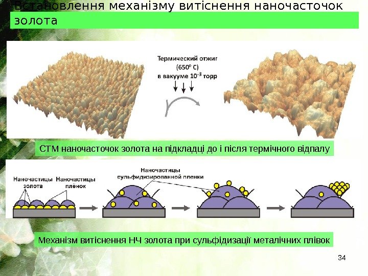 Встановлення механізму витіснення наночасточок золота 34 СТМ наночасточок золота на підкладці до і після