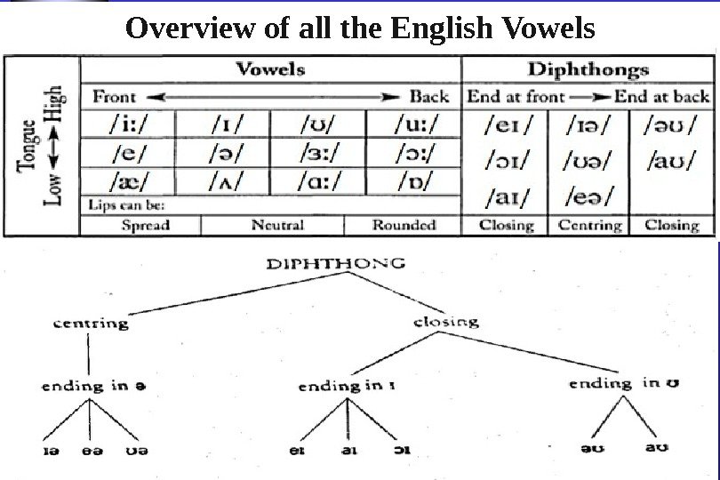 Overview of all the English Vowels 