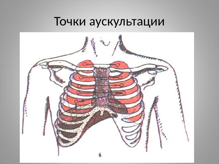 Точки аускультации 