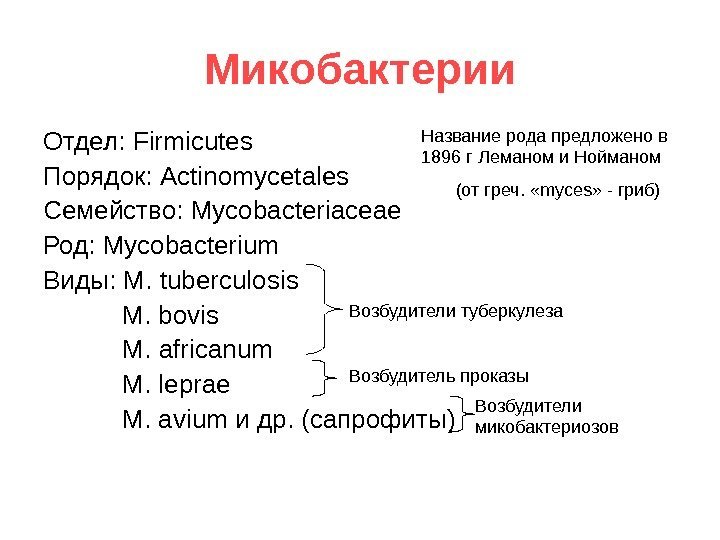   Микобактерии Отдел:  Firmicutes Порядок:  Actinomycetales Семейство:  Mycobacteriaceae Род: 