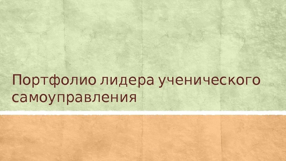  Портфолио лидера ученического самоуправления  