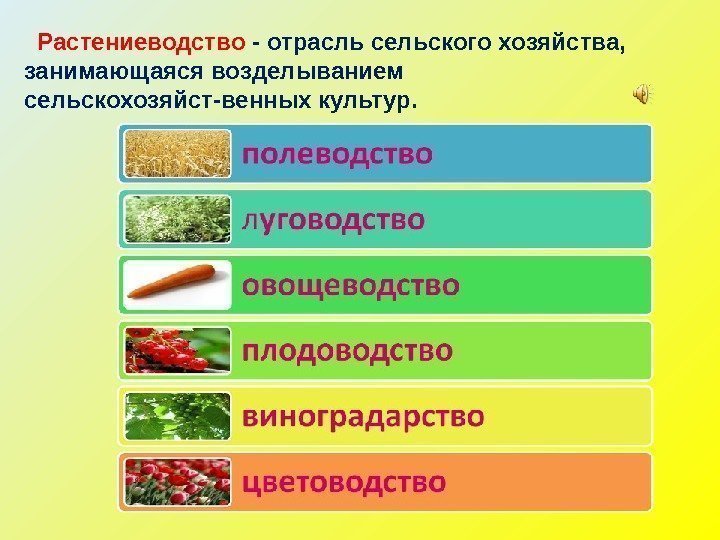   Растениеводство - отрасль сельского хозяйства,  занимающаяся возделыванием сельскохозяйст-венных культур.  