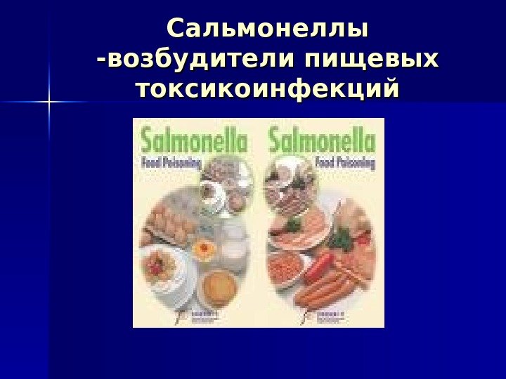 Сальмонеллы -возбудители пищевых токсикоинфекций 