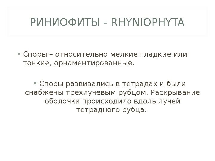 РИНИОФИТЫ - RHYNI O PHYTA • Споры – относительно мелкие гладкие или тонкие, орнаментированные.