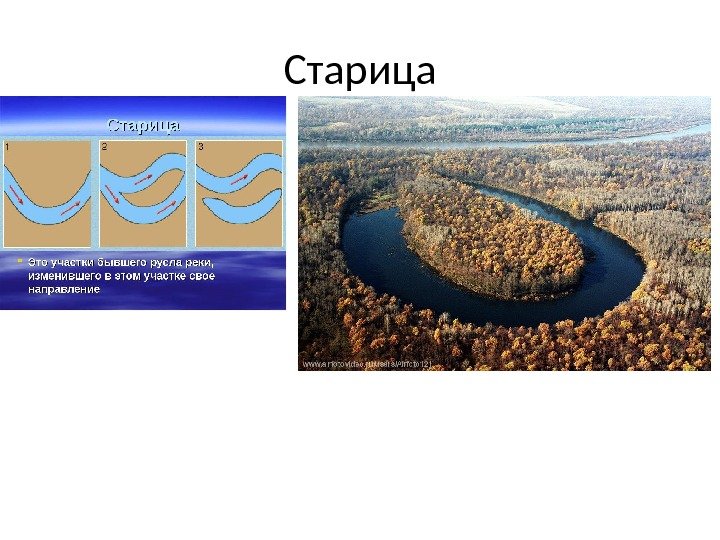 Старица 