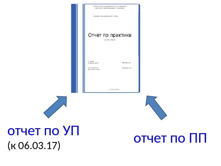 отчет по УП (к 06. 03. 17) отчет по ПП 