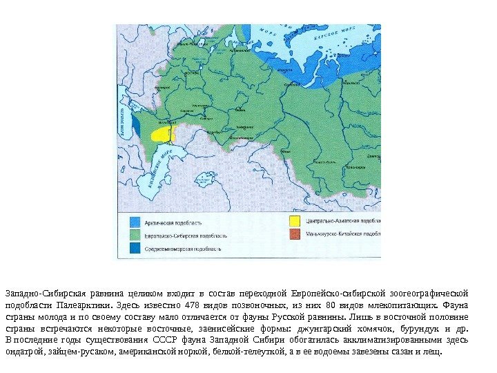 Западно-Сибирская равнина целиком входит в состав переходной Европейско-сибирской зоогеографической подобласти Палеарктики.  Здесь известно