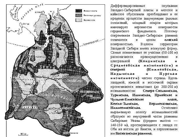 Дифференцированные опускания Западно-Сибирской плиты в мезозое и кайнозое обусловили преобладание в ее пределах процессов