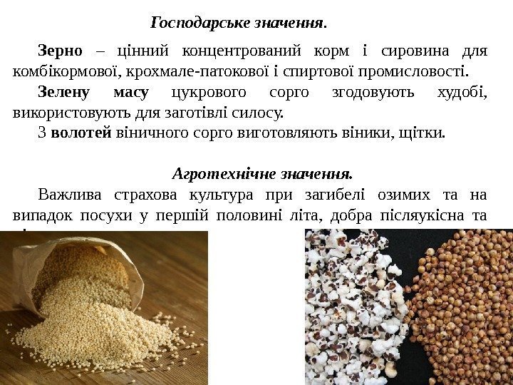 Господарське значення. Зерно  – цінний концентрований корм і сировина для комбікормової, крохмале-патокової і