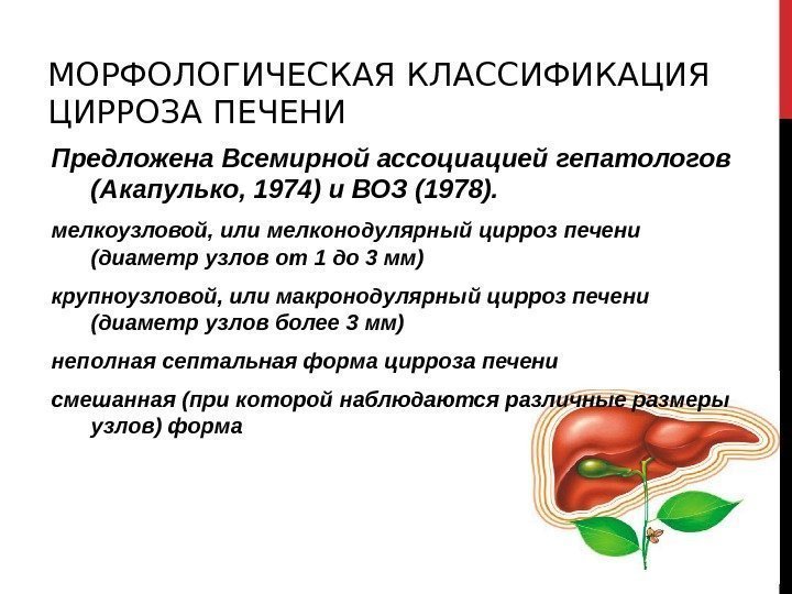 МОРФОЛОГИЧЕСКАЯ КЛАССИФИКАЦИЯ ЦИРРОЗА ПЕЧЕНИ Предложена Всемирной ассоциацией гепатологов (Акапулько, 1974) и ВОЗ (1978). мелкоузловой,
