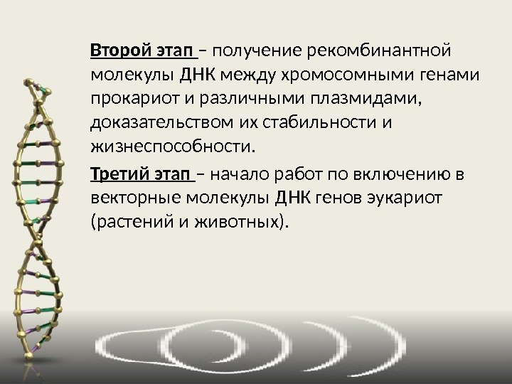 Второй этап – получение рекомбинантной молекулы ДНК между хромосомными генами прокариот и различными плазмидами,