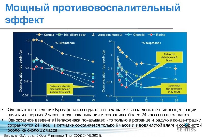  • Однократное введение Бромфенака создало во всех тканях глаза достаточные концентрации начиная с