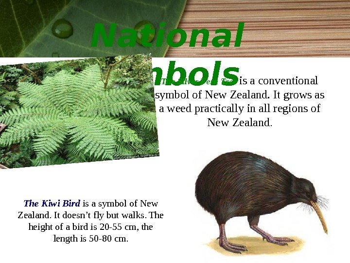 National symbols The Kiwi Bird is a symbol of New Zealand. It doesn’t fly