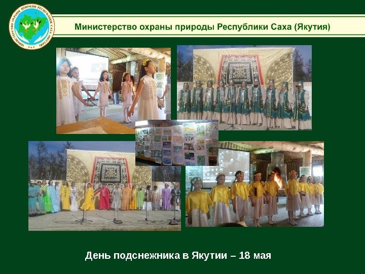 День подснежника в Якутии – 18 мая 