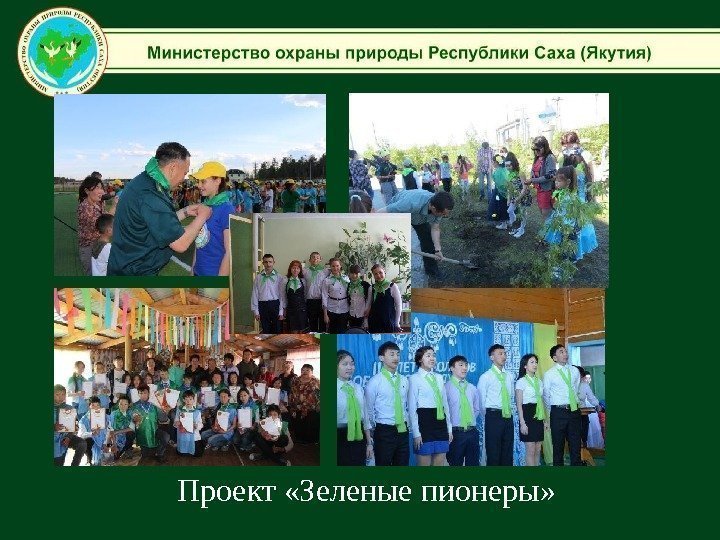 Проект «Зеленые пионеры» 