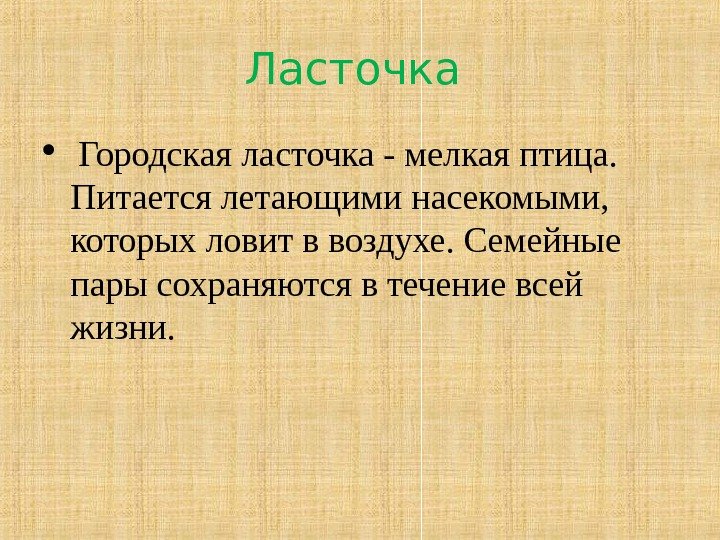 Ласточка Городская ласточка - мелкая птица.  Питается летающими насекомыми,  которых ловит в