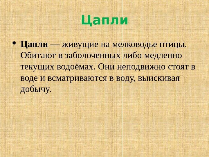 Цапли — живущие на мелководье птицы.  Обитают в заболоченных либо медленно текущих водоёмах.