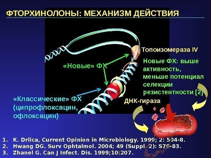 ДНК-гираза «Классические» ФХ (ципрофлоксацин,  офлоксацин)ФТОРХИНОЛОНЫ: МЕХАНИЗМ ДЕЙСТВИЯ 1. K. Drlica, Current Opinion in