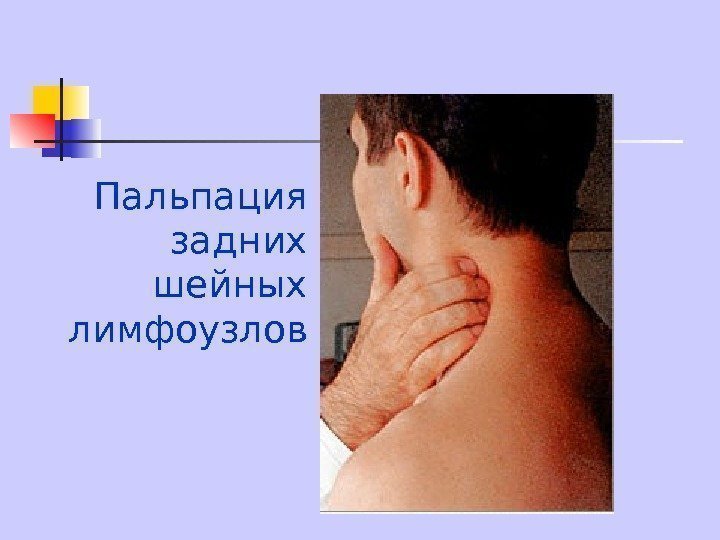   Пальпация задних шейных лимфоузлов 