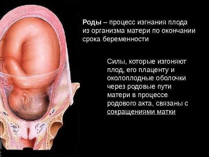   Роды – процесс изгнания плода из организма матери по окончании срока беременности