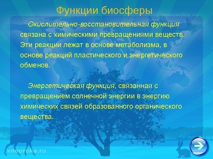 Функции биосферы Окислительно-восстановительная функция  связана с химическими превращениями веществ.  Эти реакции лежат