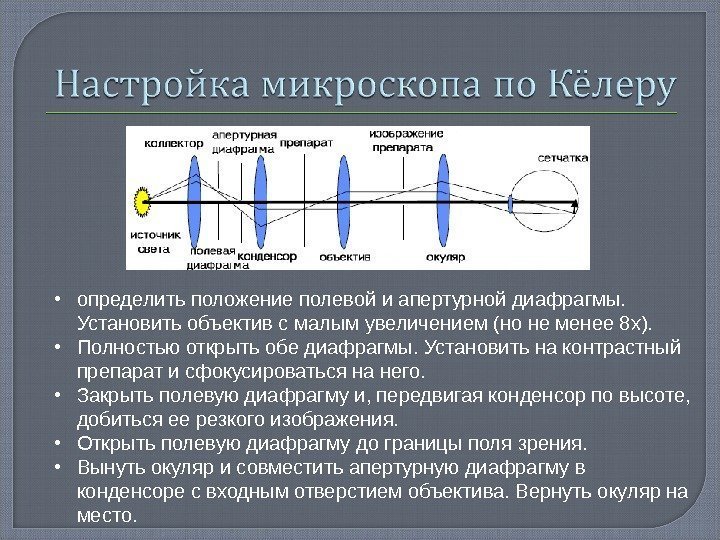  • определить положение полевой и апертурной диафрагмы.  Установить объектив с малым увеличением