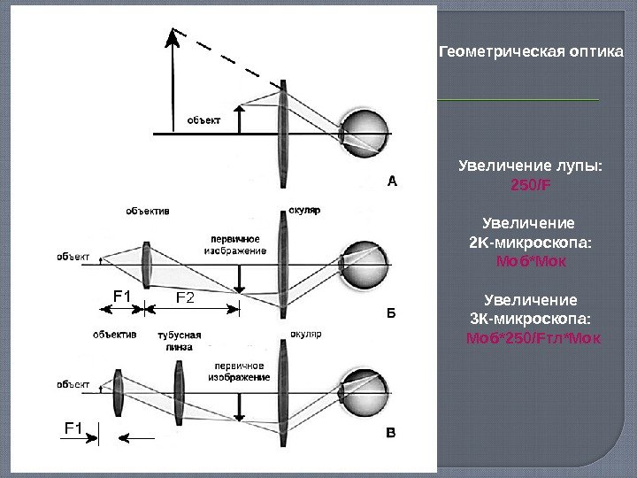 Геометрическая оптика Увеличение лупы: 250 /F Увеличение 2 K- микроскопа: Моб*М o к Увеличение