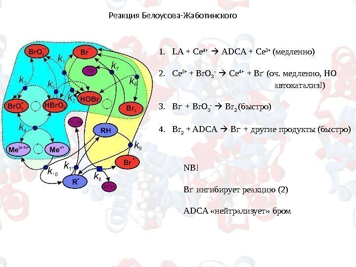 Реакция Белоусова-Жаботинского 1. LA + Ce 4+ ADCA + Ce 3+ ( медленно )