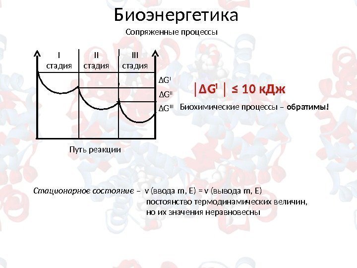 Биоэнергетика Путь реакции. I стадия III стадия Δ G III │ Δ G i