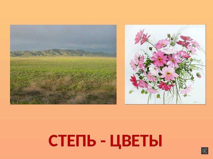 СТЕПЬ - ЦВЕТЫ  