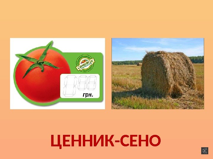 ЦЕННИК-СЕНО  