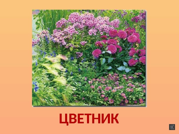 ЦВЕТНИК 