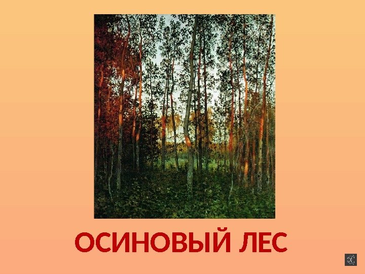 ОСИНОВЫЙ ЛЕС 