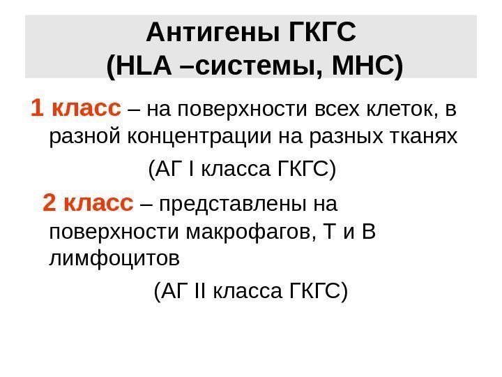 Антигены ГКГС ( HLA – системы,  MHC ) 1 класс – на поверхности