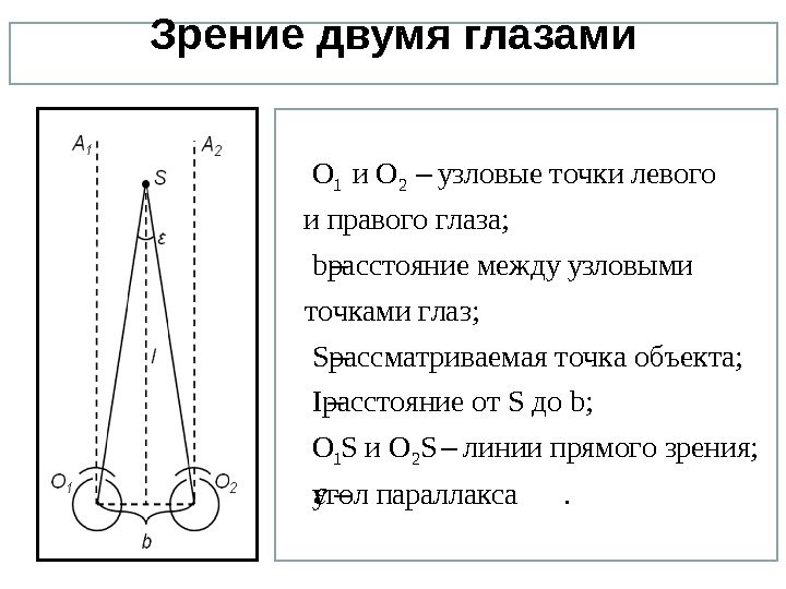 Зрение двумя глазами 1 2 O и O узловые точки левого и правого глаза;