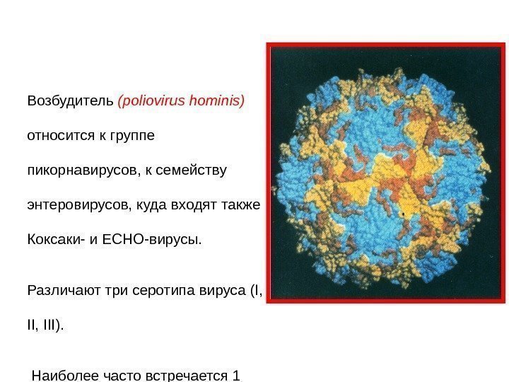   Возбудитель (poliovirus hominis)  относится к группе пикорнавирусов, к семейству энтеровирусов, куда
