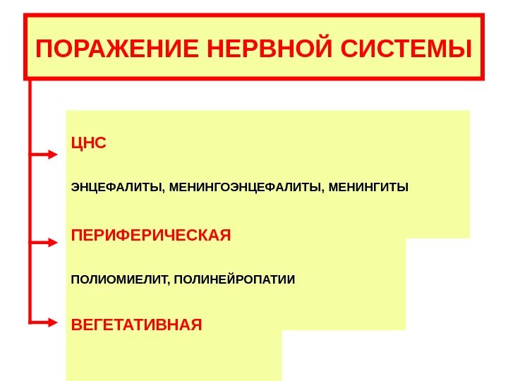   ПОРАЖЕНИЕ НЕРВНОЙ СИСТЕМЫ ЦНС ЭНЦЕФАЛИТЫ, МЕНИНГОЭНЦЕФАЛИТЫ, МЕНИНГИТЫ ПЕРИФЕРИЧЕСКАЯ ПОЛИОМИЕЛИТ, ПОЛИНЕЙРОПАТИИ ВЕГЕТАТИВНАЯ 