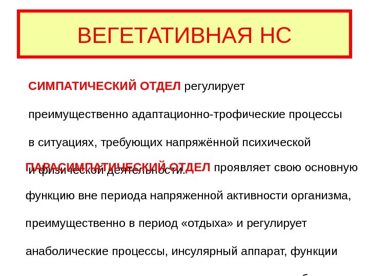   ВЕГЕТАТИВНАЯ НС СИМПАТИЧЕСКИЙ ОТДЕЛ  регулирует преимущественно адаптационно-трофические процессы в ситуациях, требующих