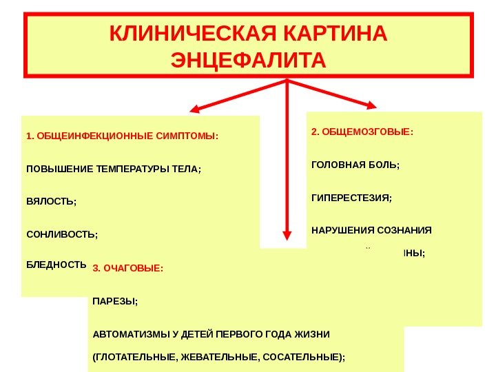   КЛИНИЧЕСКАЯ КАРТИНА ЭНЦЕФАЛИТА 1. ОБЩЕИНФЕКЦИОННЫЕ СИМПТОМЫ: ПОВЫШЕНИЕ ТЕМПЕРАТУРЫ ТЕЛА; ВЯЛОСТЬ; СОНЛИВОСТЬ; БЛЕДНОСТЬ